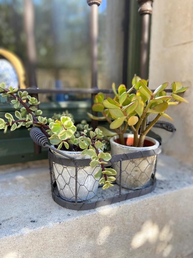 Le Jardinet De Rosa Maison De Village Eygalières Exteriör bild