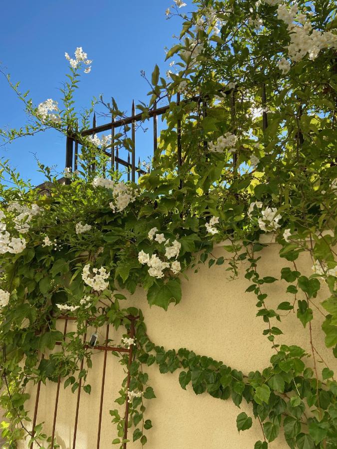 Le Jardinet De Rosa Maison De Village Eygalières Exteriör bild